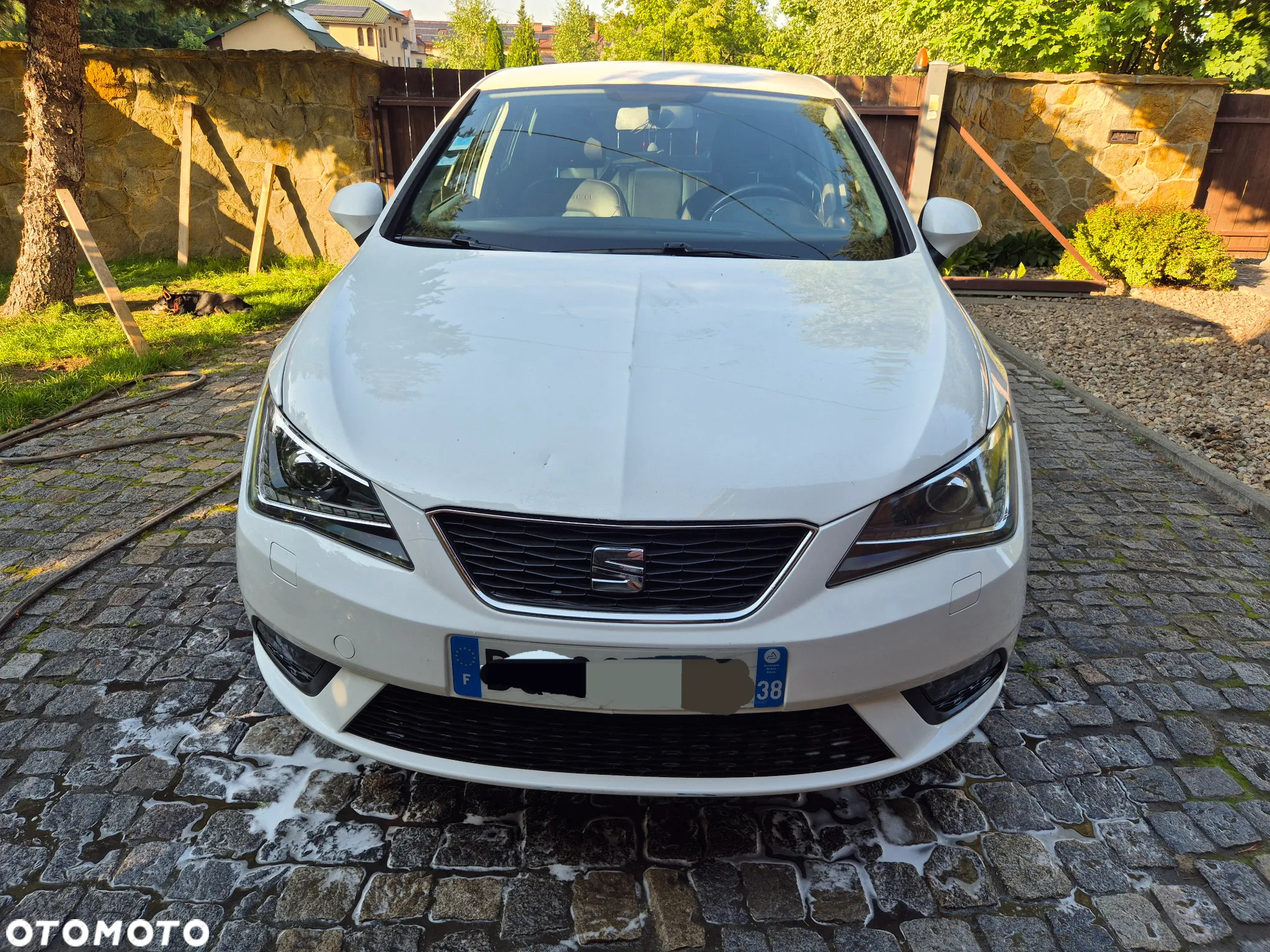 Seat Ibiza 1.2 TSI i-Tech - 4