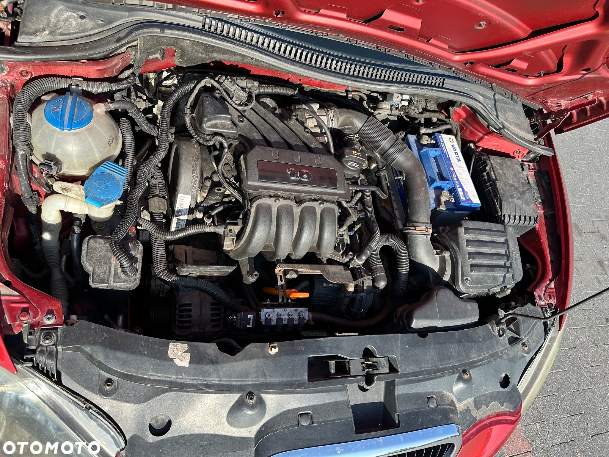 Seat Leon - 13