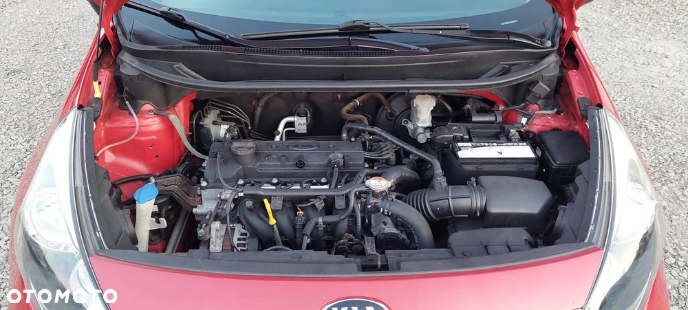 Kia Rio 1.2 Dream Team Edition - 9