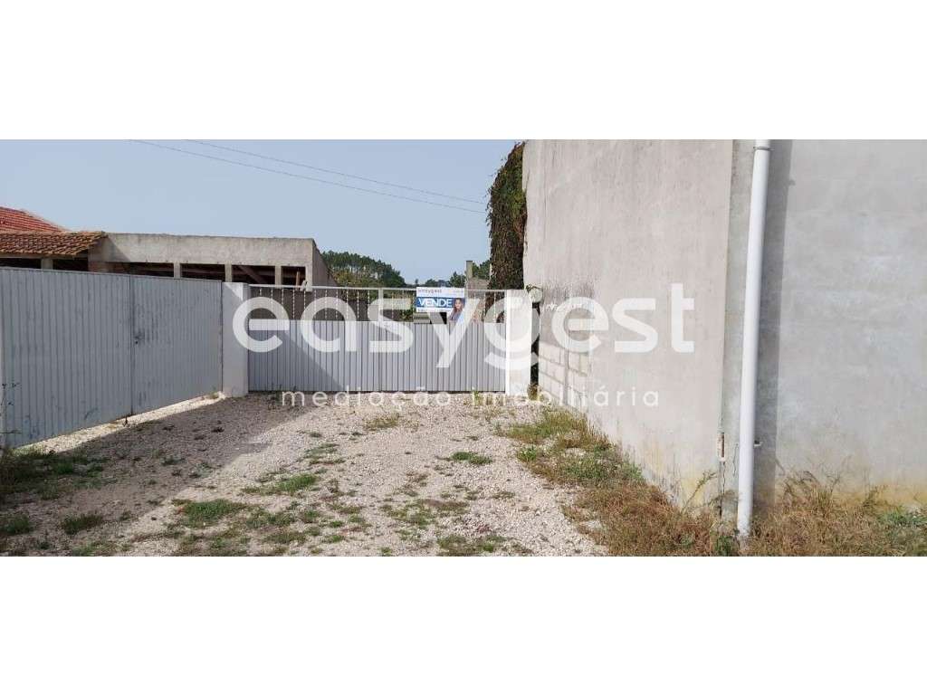 Terreno 3500m2 plano com poço sito em Amor, a poucos kM de Leiria - Grande imagem: 5/13