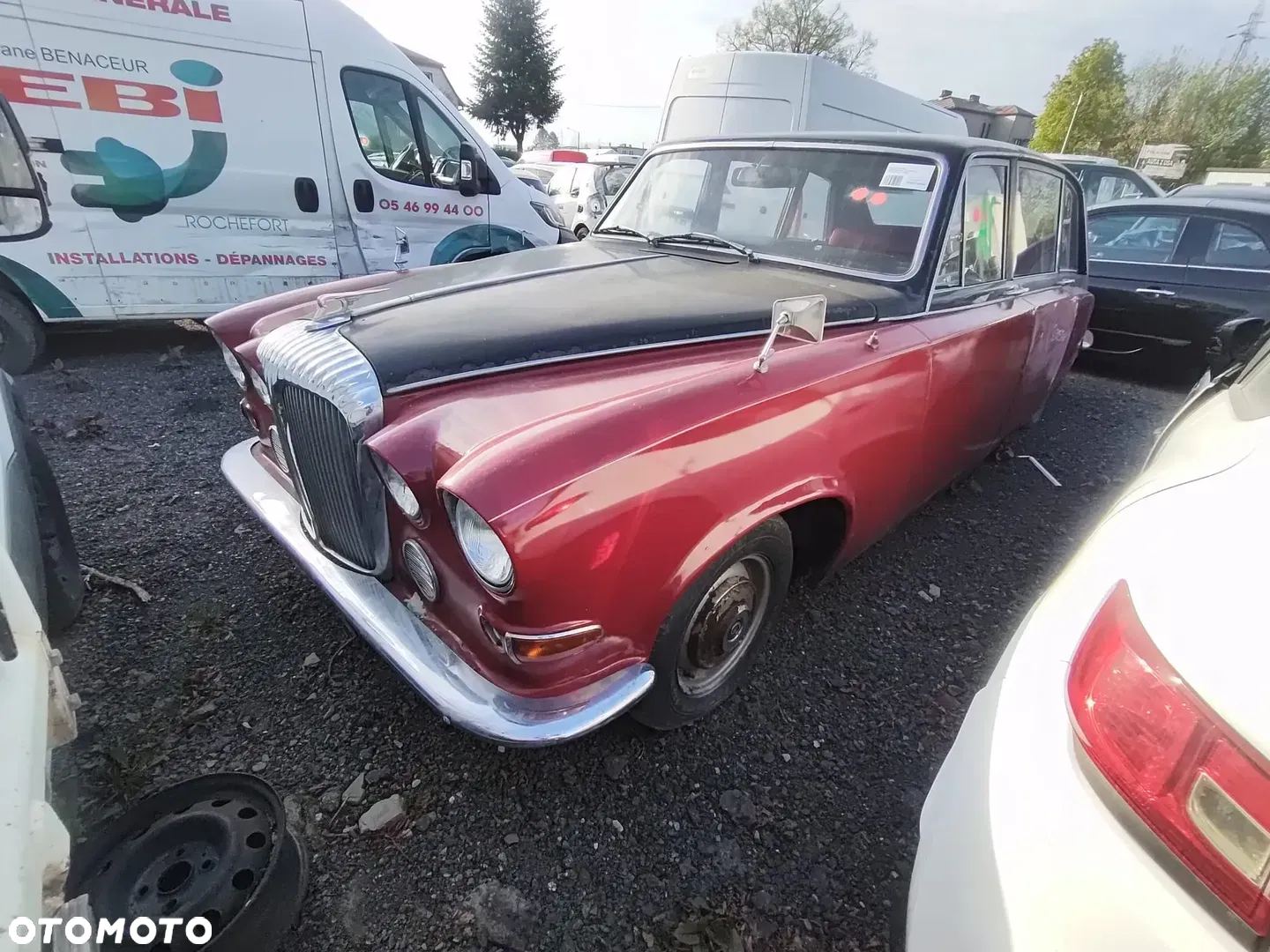 Jaguar Inny - 11
