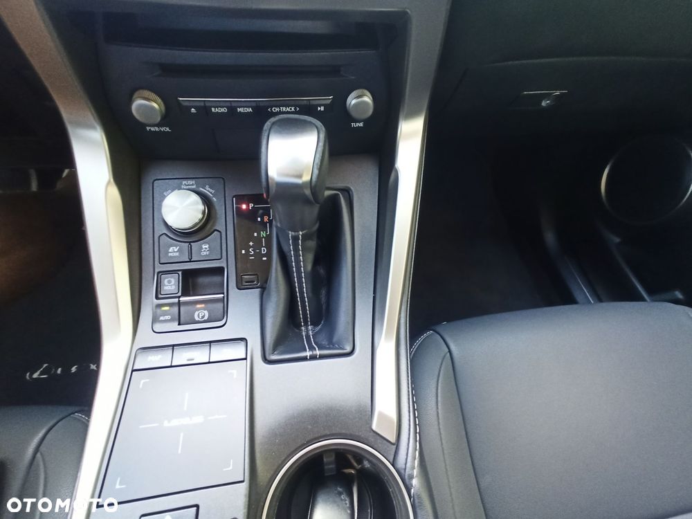 Lexus NX - 10