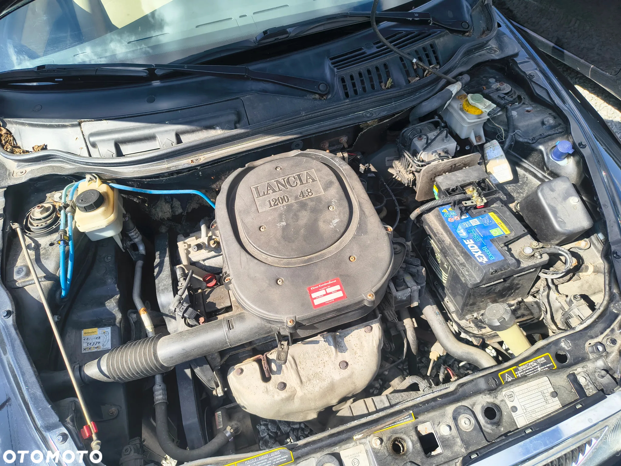 Lancia Ypsilon Y 1.2 8v - 25