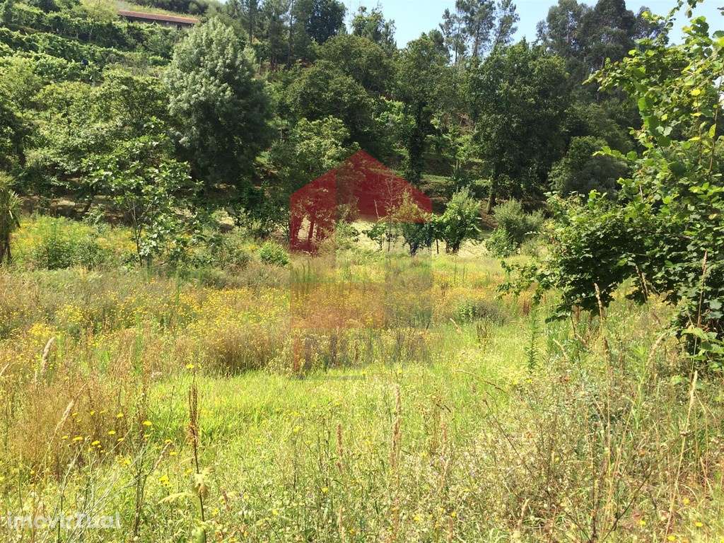 Vende-se Terreno, Barros - Grande imagem: 5/12