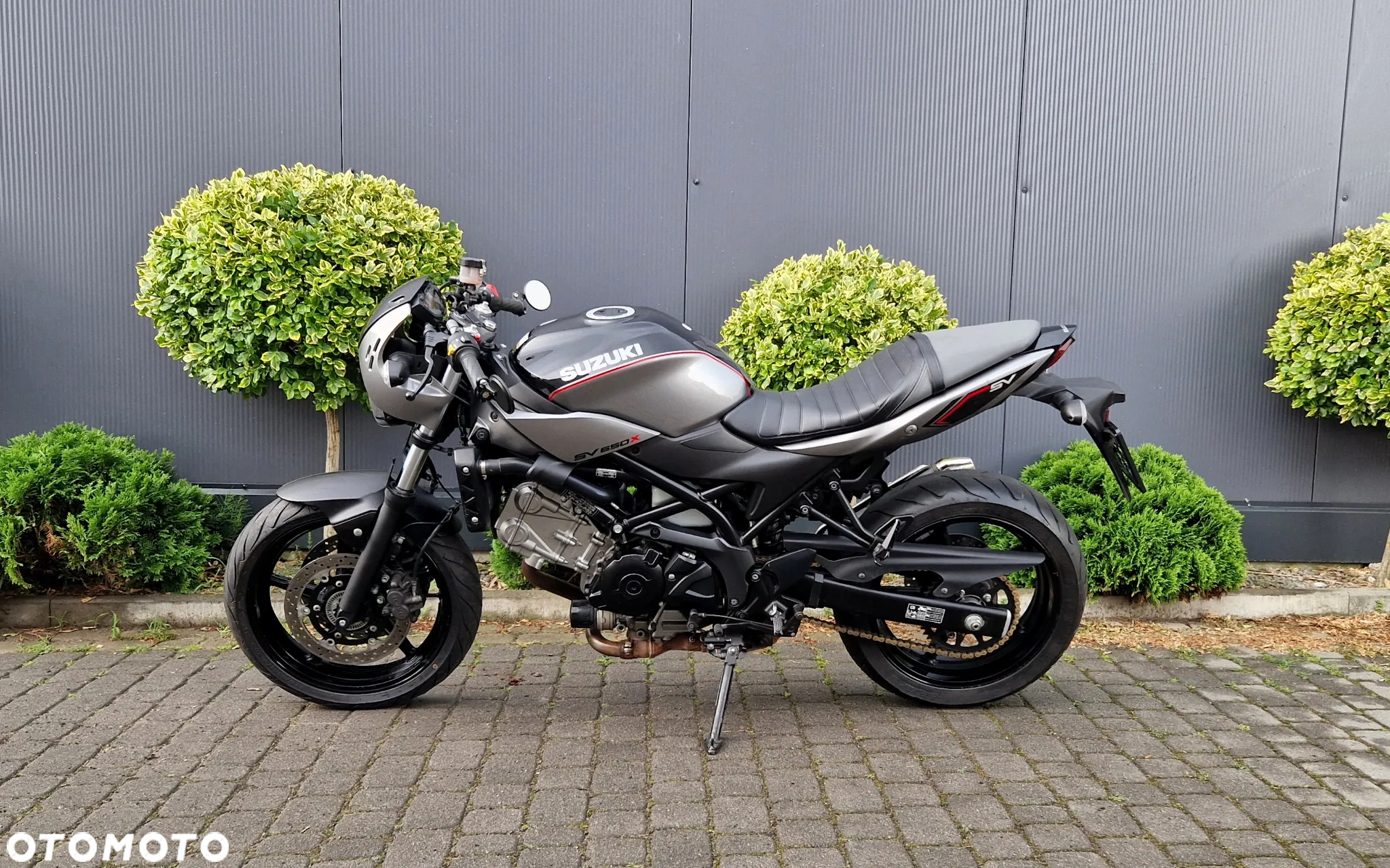 Suzuki SV - 6