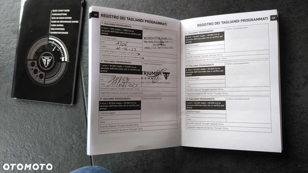 Triumph Tiger - 11
