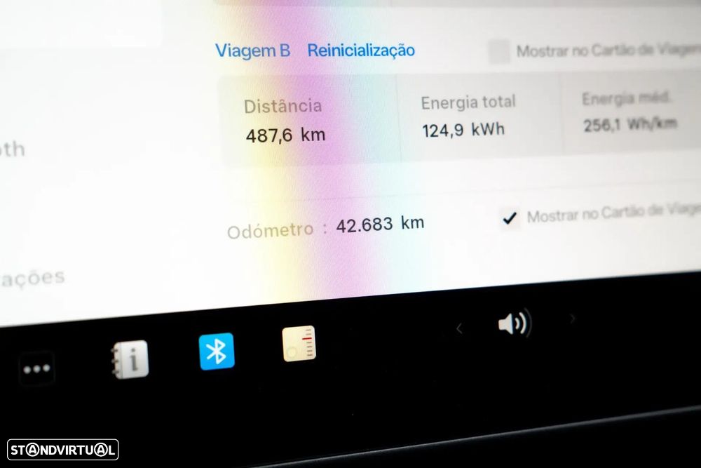 Tesla Model Y Performance Dual Motor AWD - 17