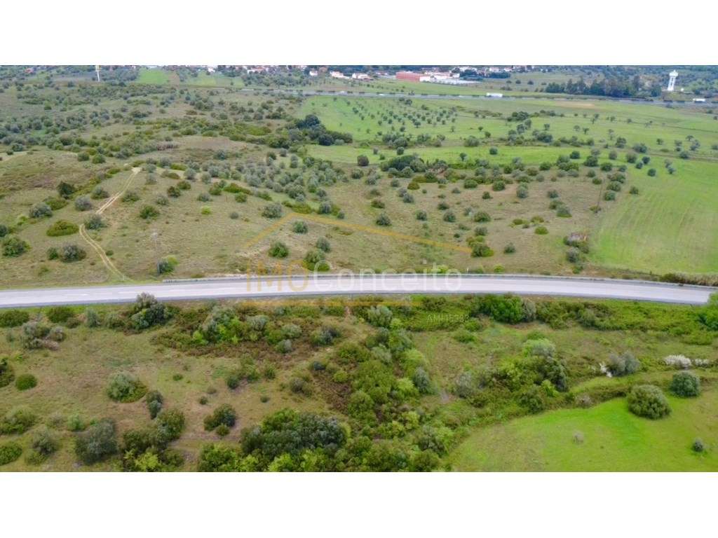 Terreno Rustico | Torres Novas - Zibreira - Grande imagem: 4/16