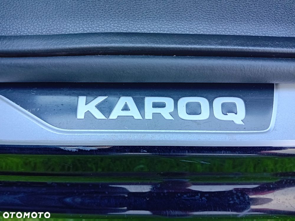 Skoda Karoq - 38