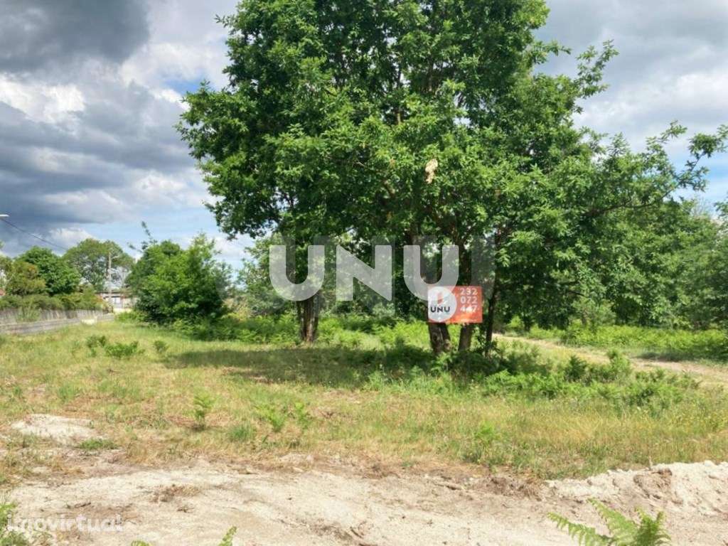 Terreno em Queirã, Vouzela para construção - Zona Calma - Grande imagem: 4/14