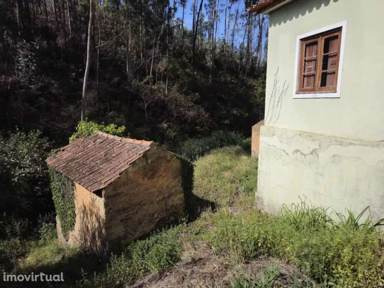 Casa Típica com 3 Quartos e 2 Terrenos em Canelas, Estarreja, Portugal - Grande imagem: 4/23