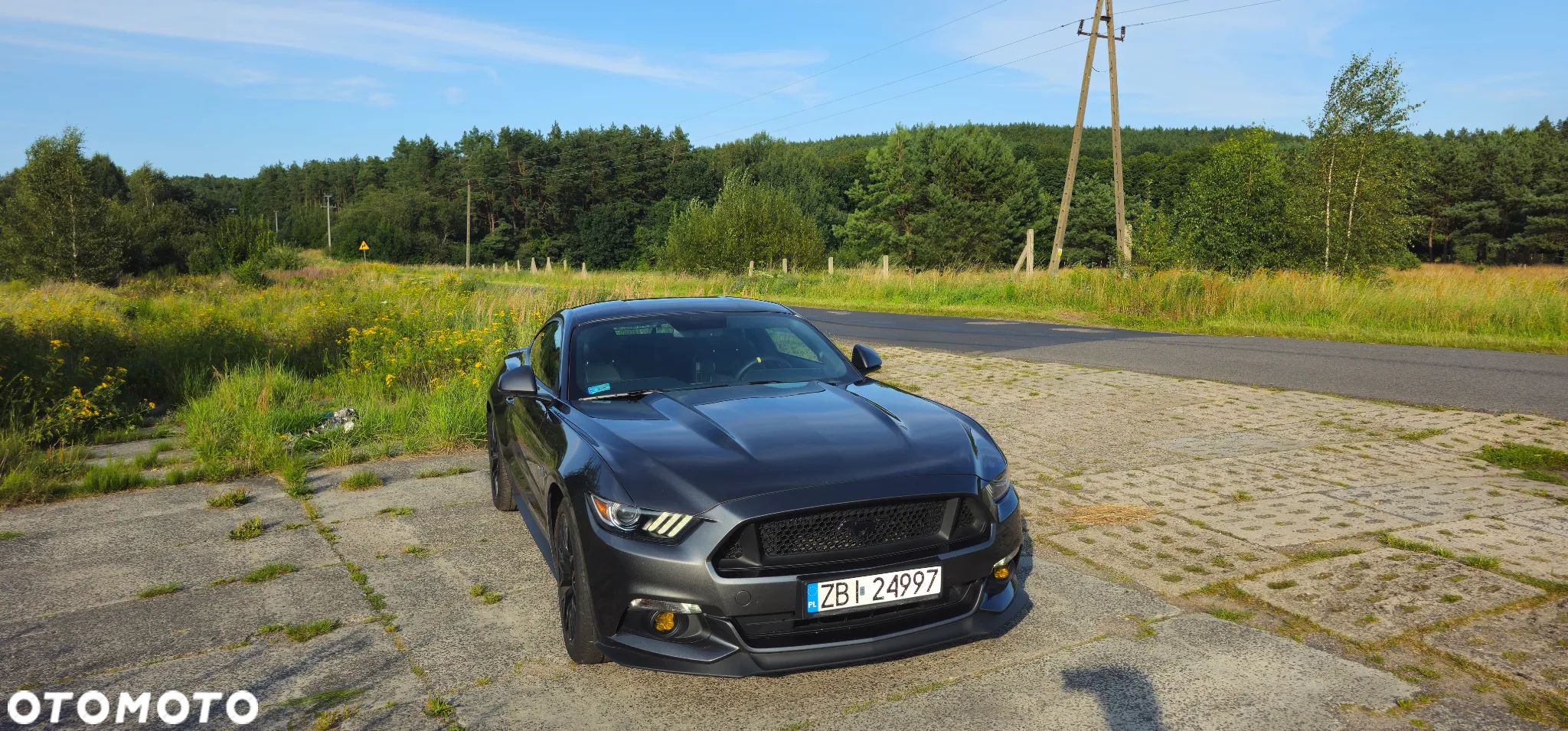 Ford Mustang 5.0 V8 GT - 1