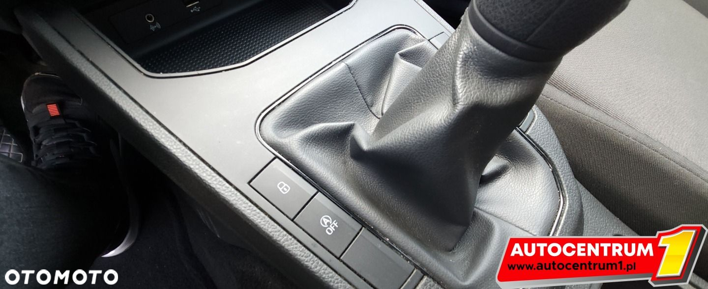 Seat Ibiza - 10