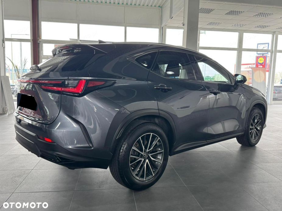 Lexus NX - 6