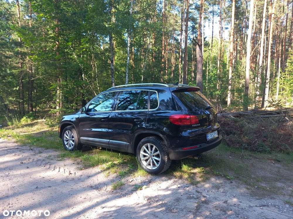 Volkswagen Tiguan - 25