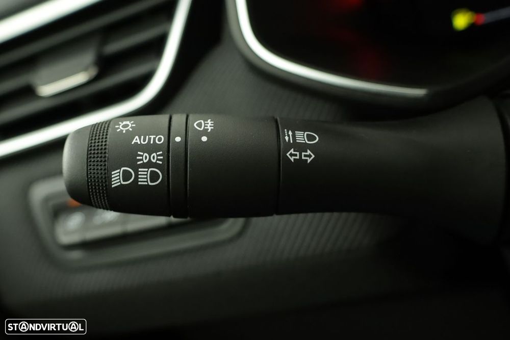 Renault Clio - 17