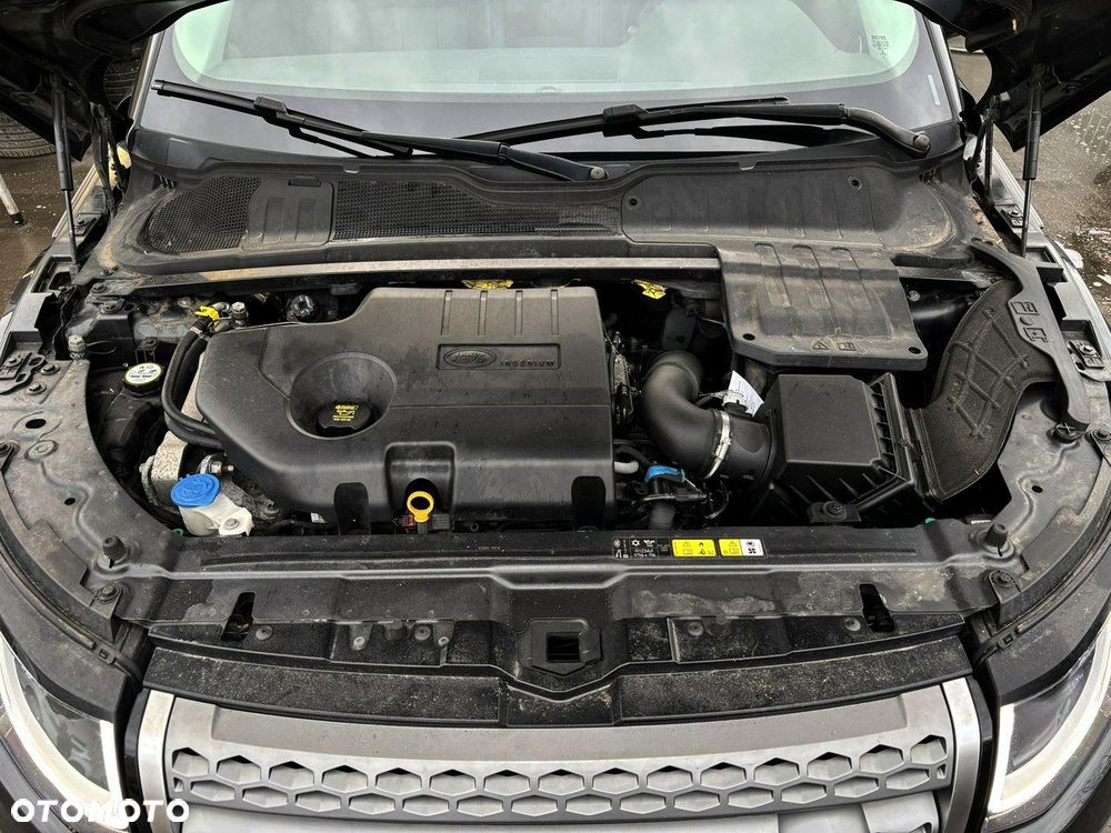 Land Rover Range Rover Evoque TD4 Black-Edition - 7