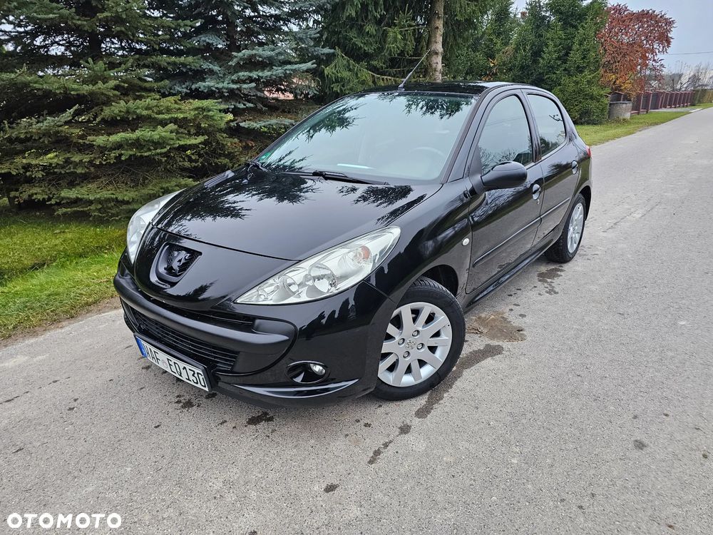 Peugeot 206 plus - 23