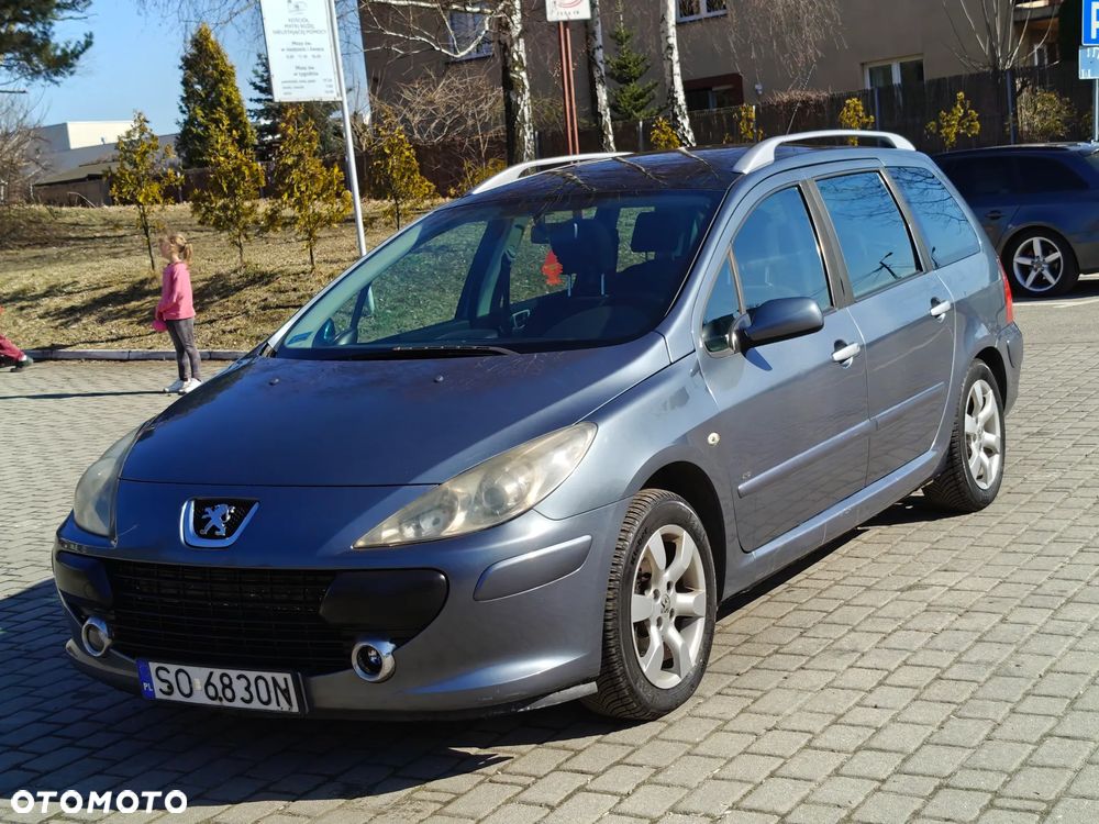 Peugeot 307 HDi 135 Platinum - 14