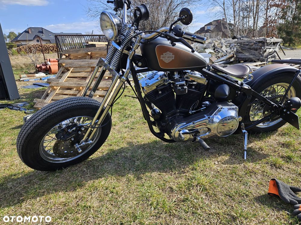 Harley-Davidson Inny - 1