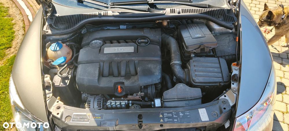 Skoda Octavia 1.6 Mint - 10