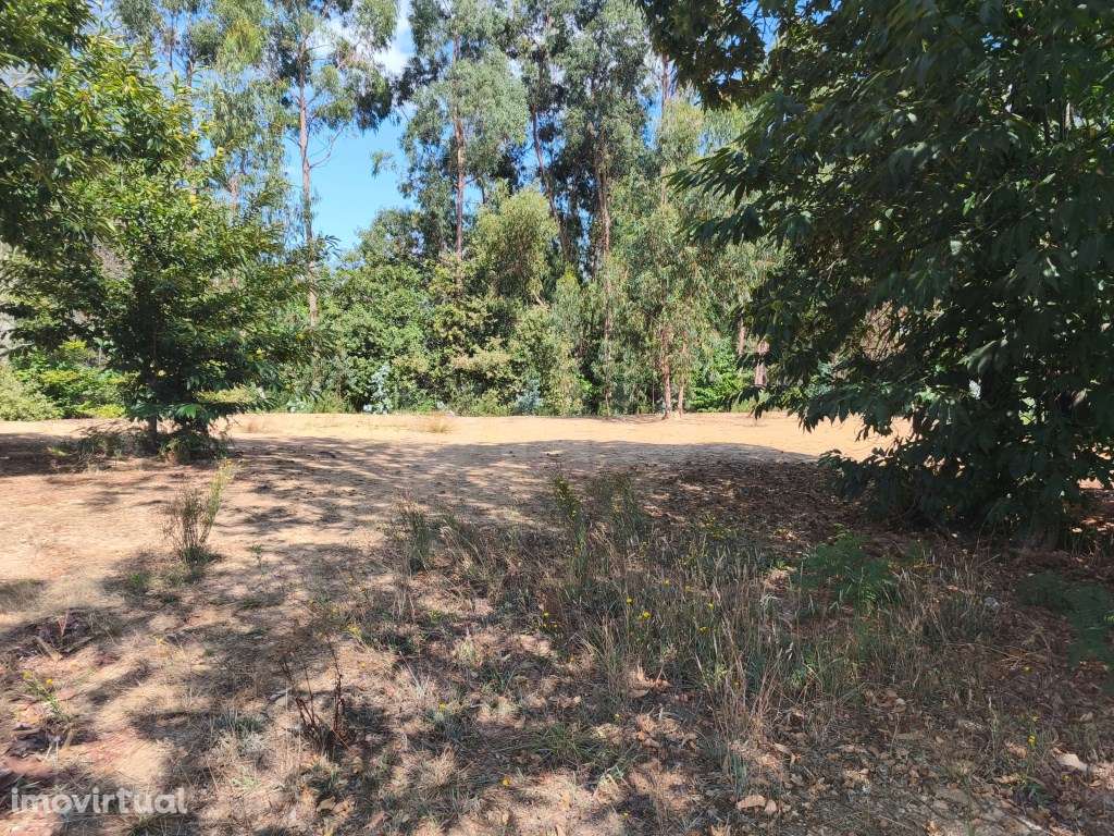 Prédio rústico em zona de construção, vedado com muro de granito - Grande imagem: 4/12