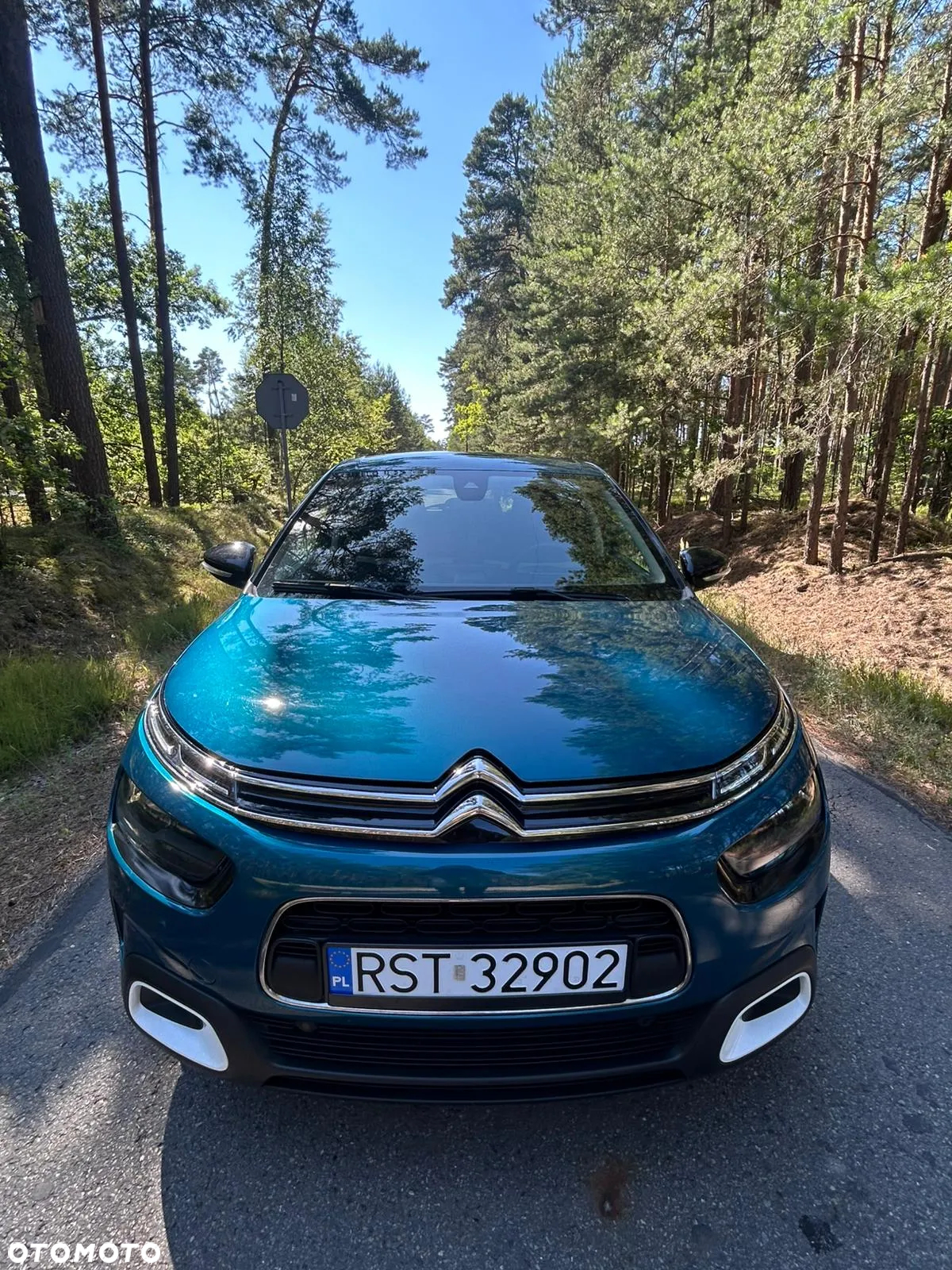 Citroën C4 Cactus 1.2 PureTech GPF Shine S&S - 5