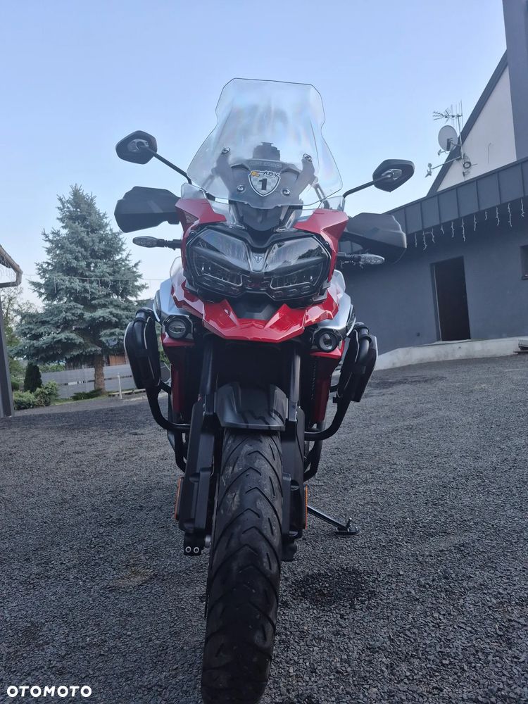 Triumph Tiger - 24