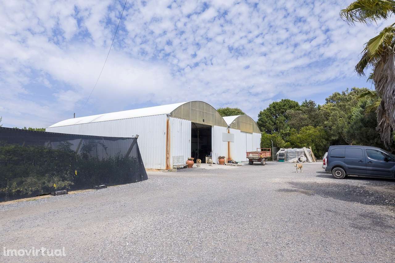 EMPRESA AGRÍCOLA PARA VENDA NO PARQUE NATURAL - Grande imagem: 2/17
