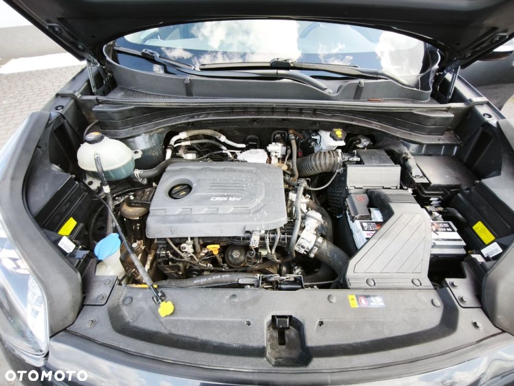 Kia Sportage - 24