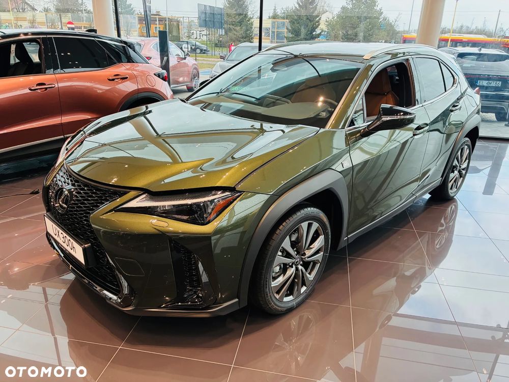 Lexus UX 300h F Sport Design - 1