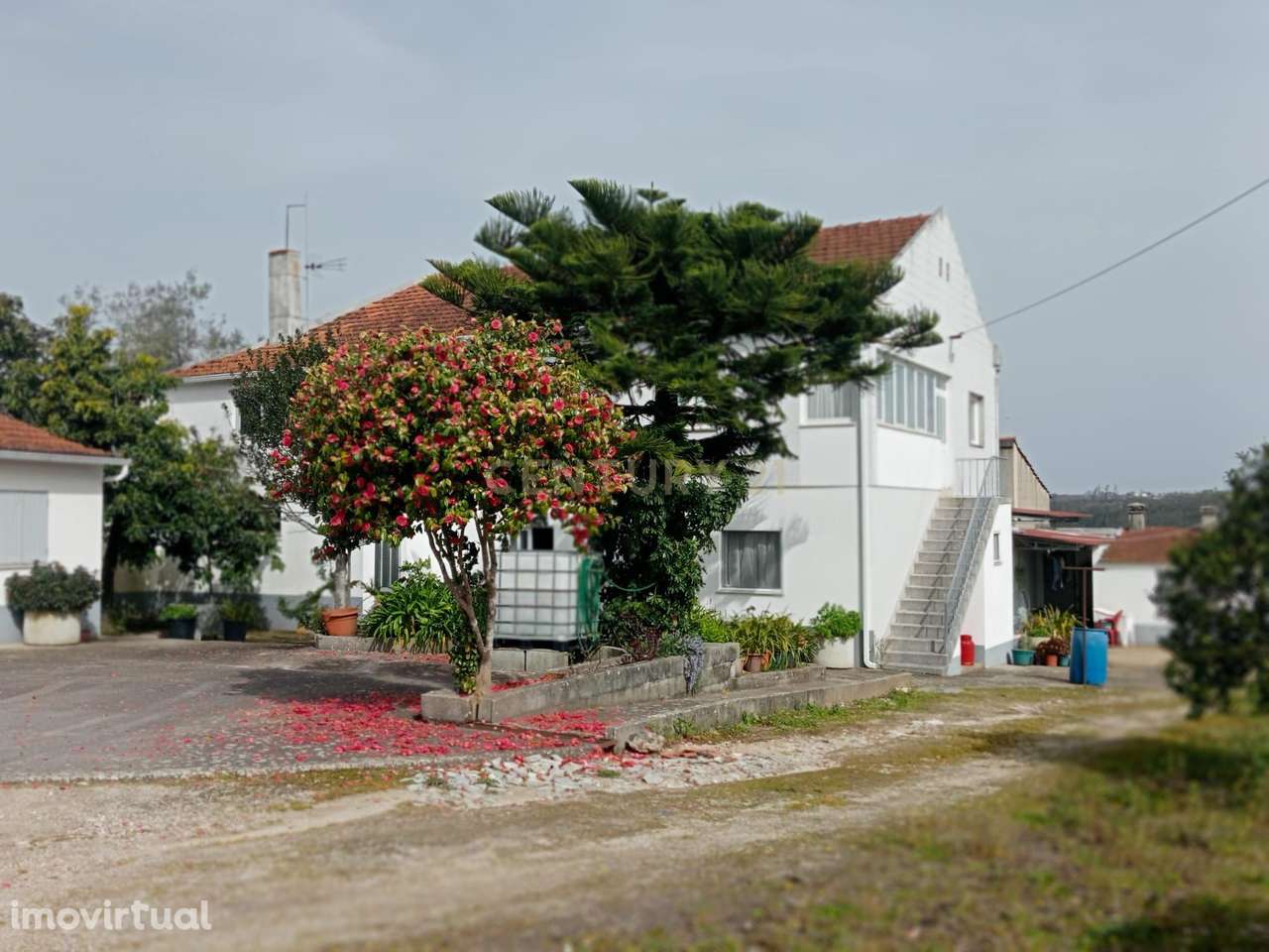 Moradia T6 com Terreno de 5.817m2 para Agricultura ou Turismo Próx. Fá - Grande imagem: 3/31