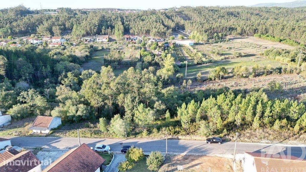 Terreno para construção em Pelariga - Grande imagem: 5/22