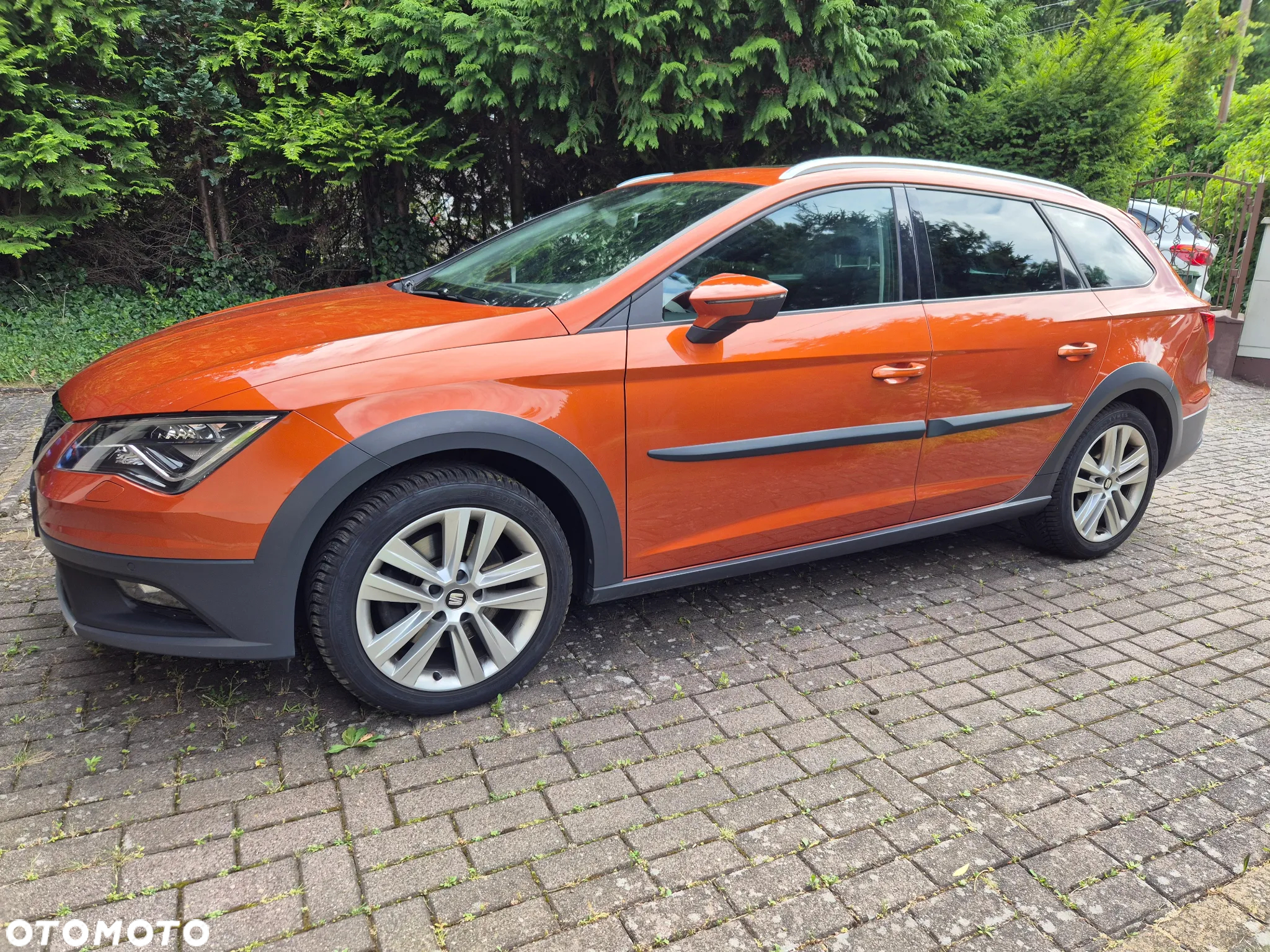 Seat Leon 2.0 EcoTSI X-Perience S&S 4Drive DSG - 5