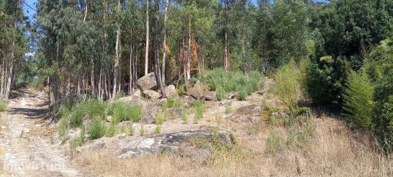 Venda Terreno - Grande imagem: 4/5