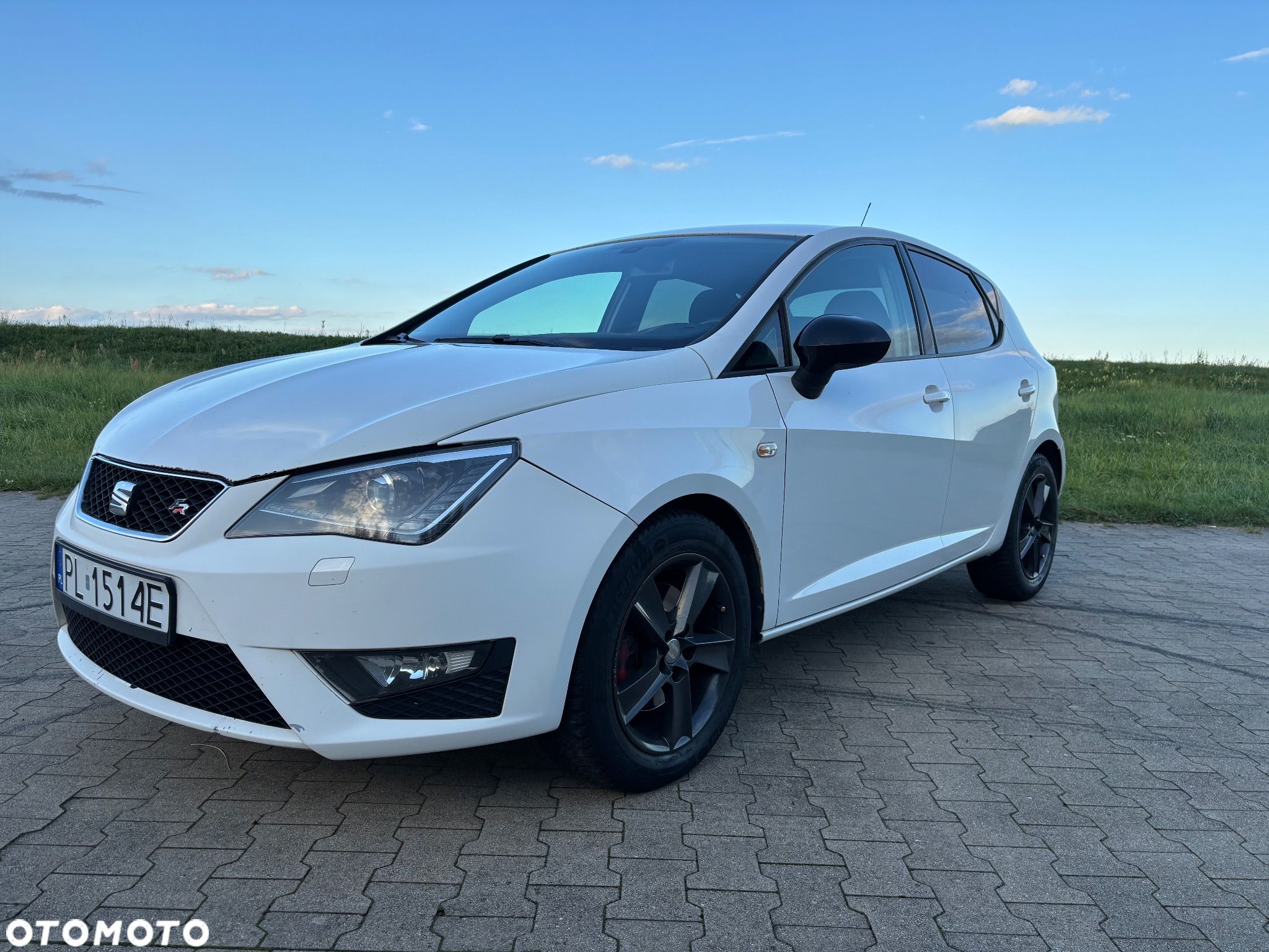 Seat Ibiza 2.0 TDI FR - 1