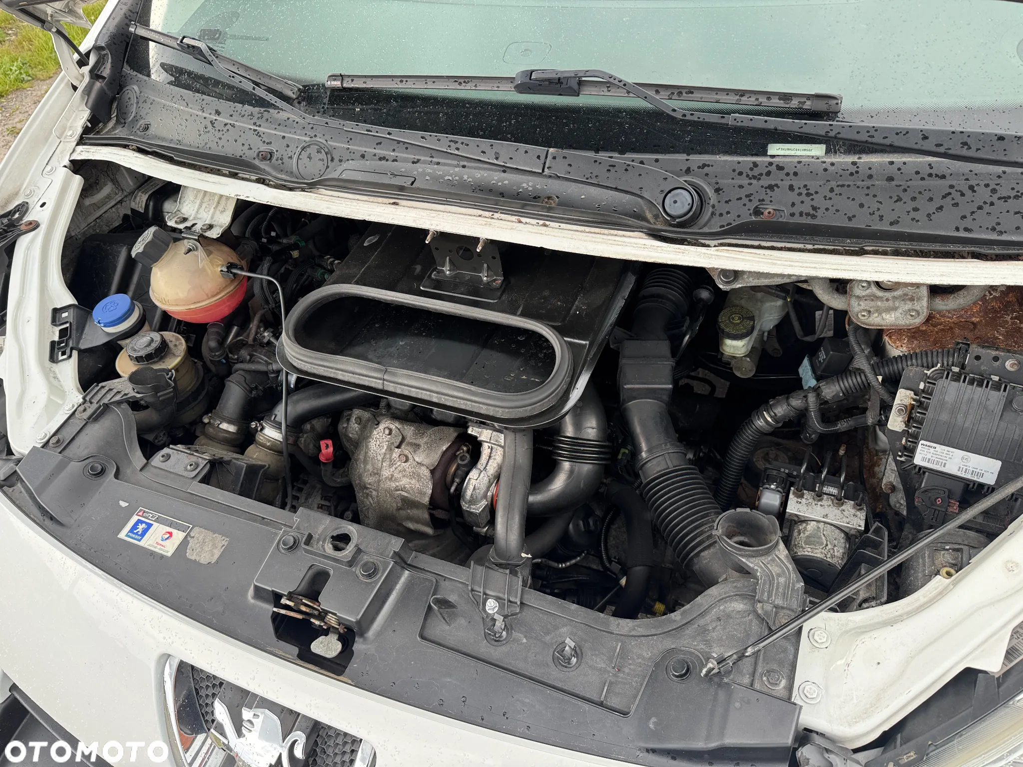 Peugeot EXPERT LONG DŁUGI 6 OSÓB - 22