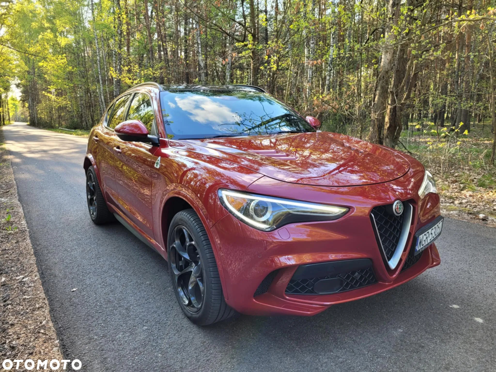 Alfa Romeo Stelvio V6 2.9 Bi-Turbo AT8-Q4 Quadrifoglio