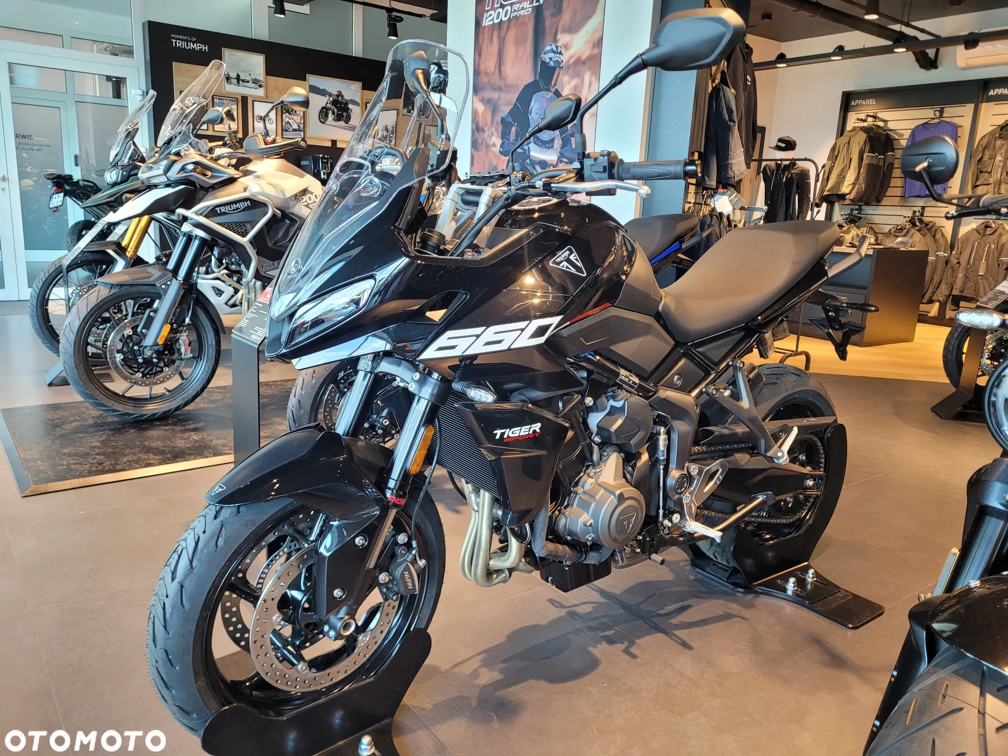 Triumph Tiger