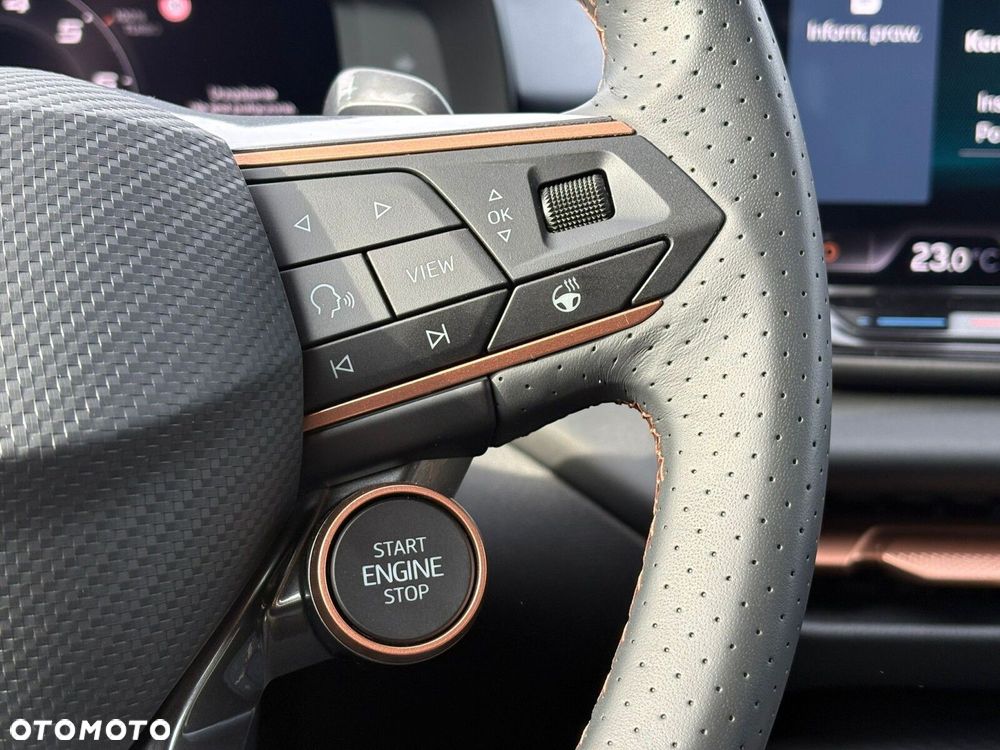 Cupra Terramar - 23