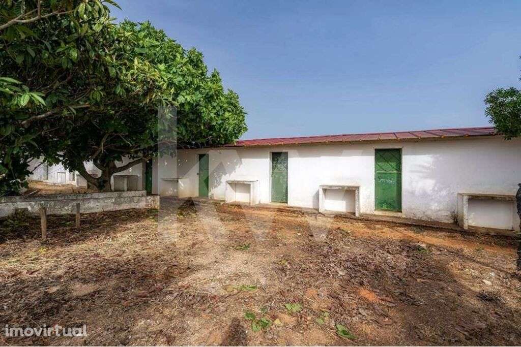 TERRENO AGRICOLA | |COM FURO DÁGUA | POTENCIAL PARA ALOJAMENTO AGRICOL - Grande imagem: 3/21