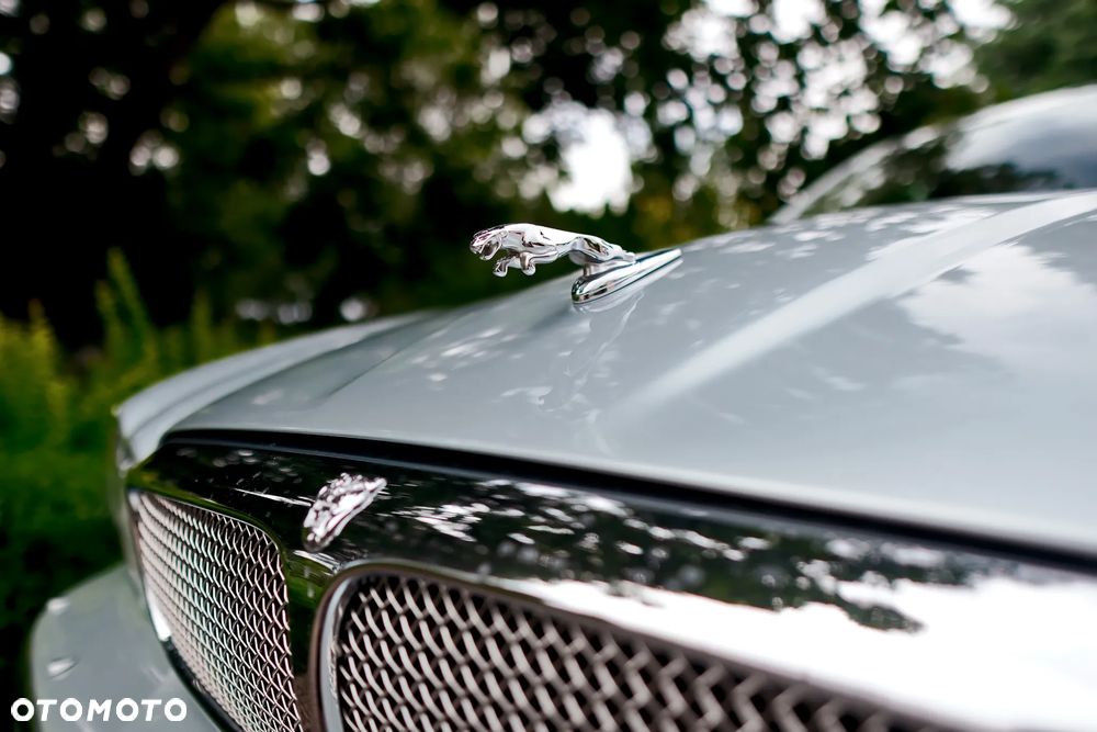 Jaguar XJ XJ8 4.2 LWB - 21