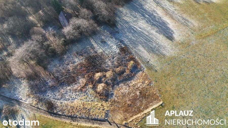 Działka budowlana 1506 m2 Siedlęcin koło Jeleniej - Pełny obrazek: 4/8