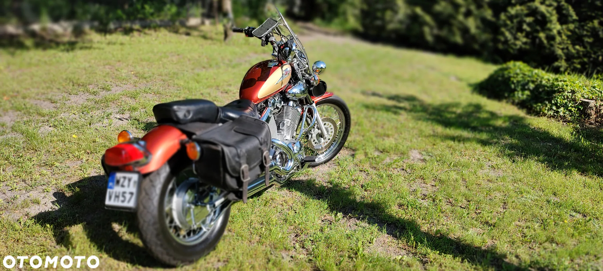 Yamaha Virago - 2