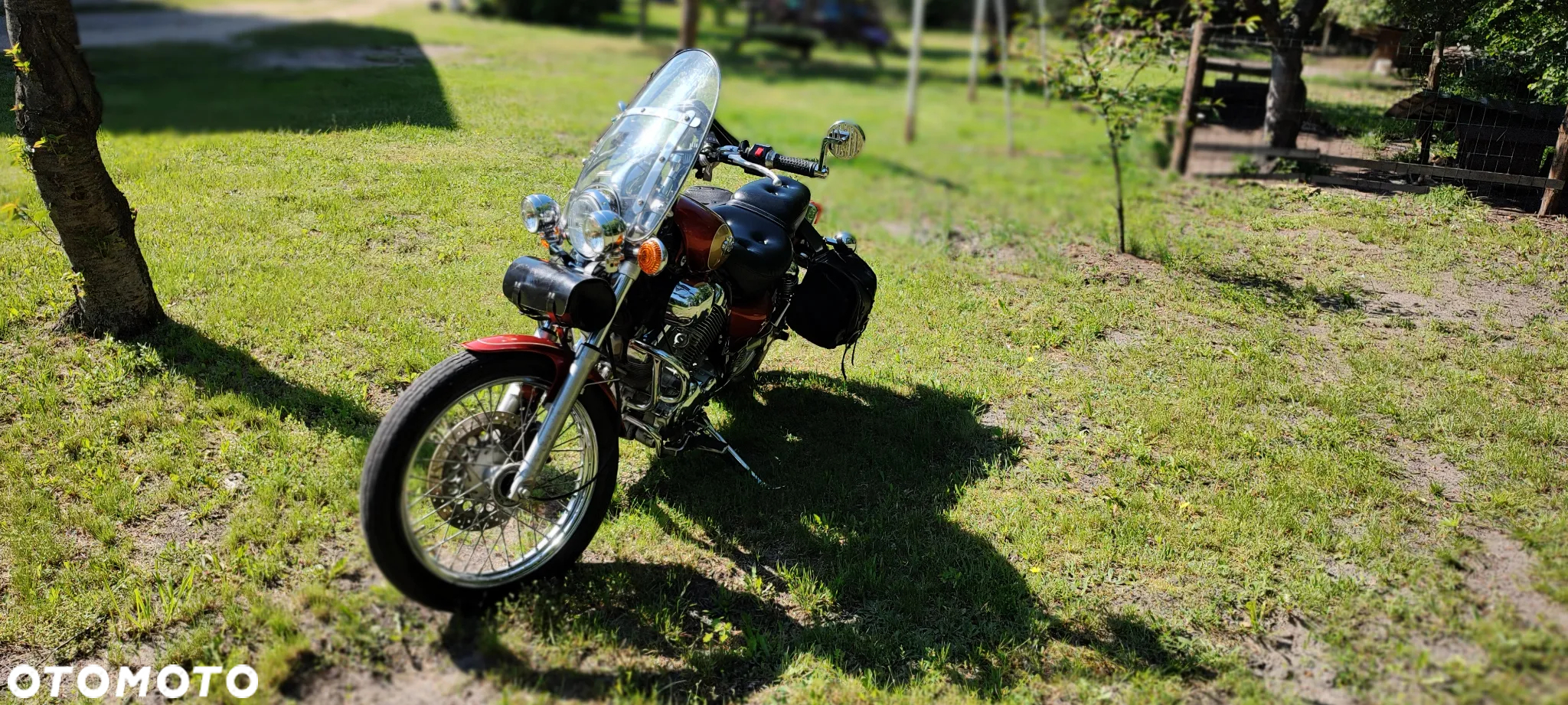 Yamaha Virago - 3