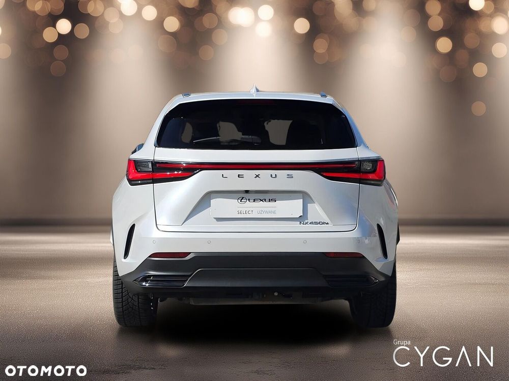 Lexus NX - 6