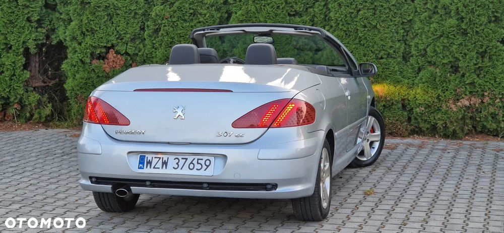 Peugeot 307 CC 2.0 - 6
