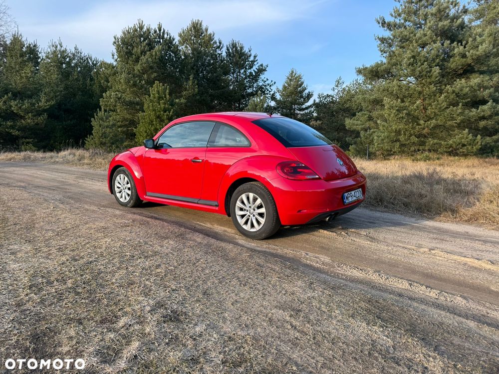 Volkswagen Beetle - 15