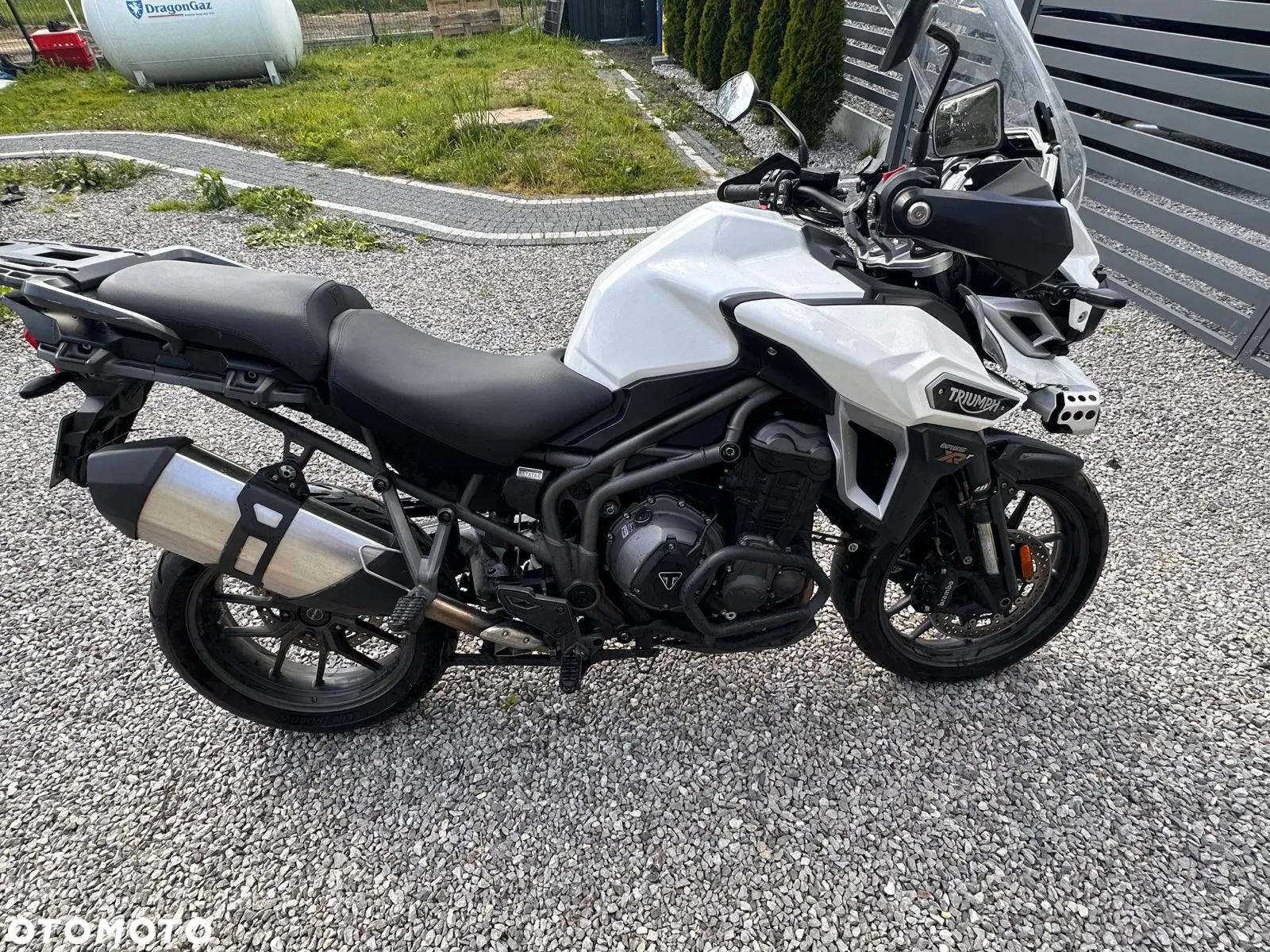 Triumph Tiger