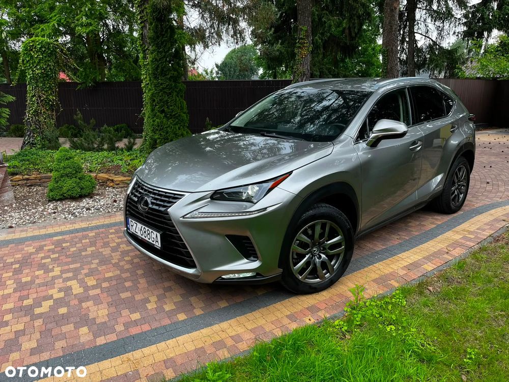 Lexus NX 300h Business Edition AWD - 1